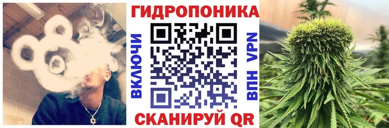 Конопля VHQ  Купить где  Лахденпохья 